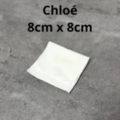 【極美品】CHLOE クロエ　アクセサリー用保存袋　小物入れ　保存ケースのサムネイル