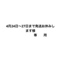 4月24日〜27日まで発送お休みします様　専用
