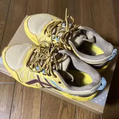 asics KikoKostadinov GEL-VENTURE7 24cm