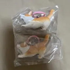 のびズム　コーギー キーホルダー 2個セット
