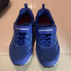かりん様専用SHYUNSOKU ブルースニーカー ベルクロ