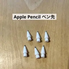 Apple Pencil ペン先 6本 ペンシルチップ 細字