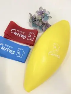 ◆おうちでCurves◆トレーニングゴムバンド赤青 2本＆ボールのセット◆美品◆