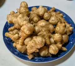 【農薬・化学肥料・除草剤不使用】自家栽培菊芋1kg