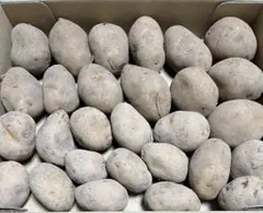 引っ越し大処分SALE中(^^)ぴょん吉様 リクエスト 2点 まとめ商品