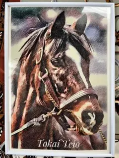 伝説の二冠馬トウカイテイオーの肖像画 フレーム付き、サイン、押印入り。
