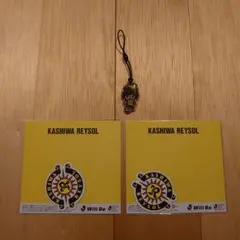柏レイソル KASHIWA REYSOL マグネット2枚セット おまけ付き
