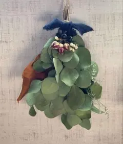 ドライフラワースワッグ◌ ͙❁˚ユーカリポポラス　ニゲラ　ネコポス発送