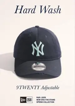 Item thumbnail for item ac890466-c979-49c5-9ff6-041df079c6c5