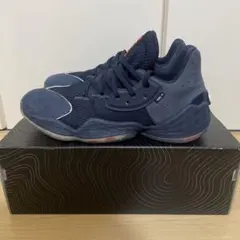 【9/15までの出品】adidas HARDEN VOL.4 26.0cm