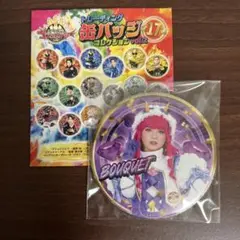 ナンバーワン戦隊 ゴジュウジャー 缶バッジコレクション ブーケ まるぴ
