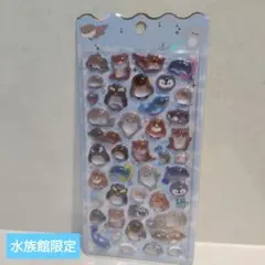 【レア品】ボンボンドロップシール 水族館限定③海獣 正規品【限定】