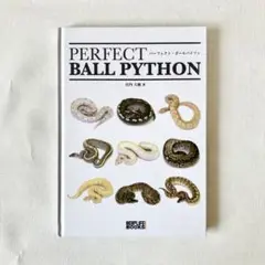 PERFECT BALLPYTHON パーフェクト・ボールパイソン 2025年最新】パーフェクトボールパイソンの人気アイテム - メルカリ
