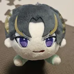 2025年最新】Buddiis ぬいぐるみ seiyaの人気アイテム - メルカリ