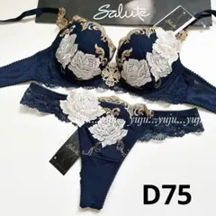 2026年最新】WACOAL サルート d75の人気アイテム - メルカリ