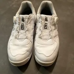 Item thumbnail for item c732d0b5-6dcb-4a34-89c0-28673d20c322