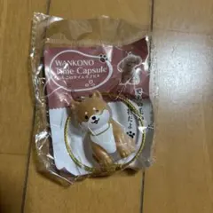 WANKONO Time Capsule