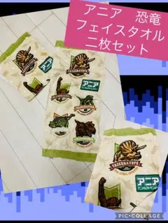アニア♡恐竜♡フェイスタオル♡２枚セットのサムネイル