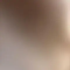 た