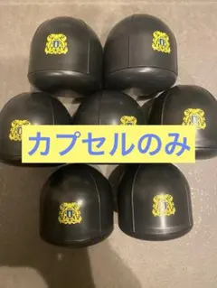 家庭教師ヒットマンREBORN! DX ボンゴレリング　カプセルのみ