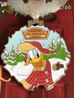 2016 ウィルダネスロッジ ウォルトディズニーワールド ドナルド ピンバッジ