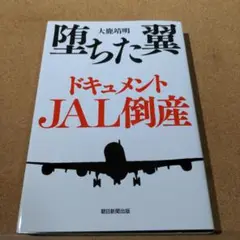 堕ちた翼 ドキュメントJAL倒産