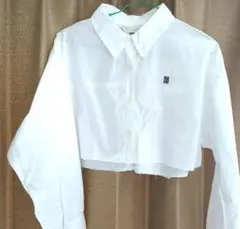 Item thumbnail for item 1b696801-a6d0-4ae9-b98a-b4e4951e5a58