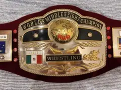 2026年最新】レプリカチャンピオンベルトの人気アイテム - メルカリ