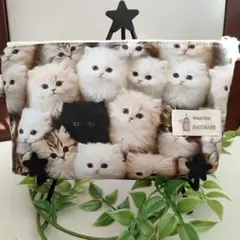 メラニーM【購入前にコメントください】様 リクエスト 2点 まとめ商品