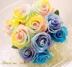 Item thumbnail for item da270d1b-3e61-4500-b34e-3d82c6864b9e