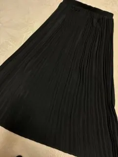 earth music&ecology ブラック プリーツスカート