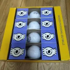SPALDING ゴルフボール 1ダース コアラデザイン