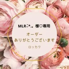 MLR◡̈*.。様♡専用