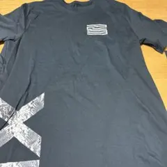 ジョーダン ナイキ Tシャツ Lサイズ