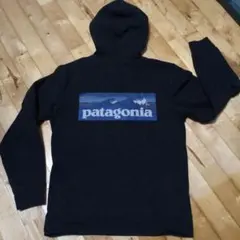パタゴニア　メンズ・ボードショーツ・ロゴ・アップライザル・フーディ