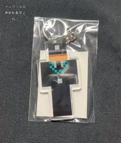 日常組 マイクラ脱獄 リアム看守 アクキー - メルカリ