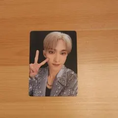 SEVENTEEN　セブチ　ドギョム　トレカ　W会員特典