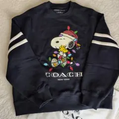 Item thumbnail for item 675e15ec-b240-449d-9fb6-ffd89518fc1e