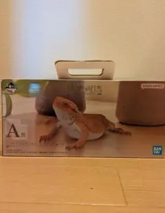 2026年最新】一番くじ 爬虫類&両生類 a賞の人気アイテム - メルカリ