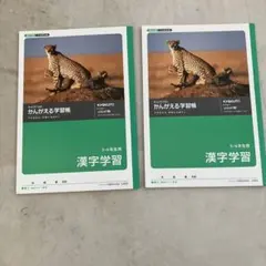 2024年受験　サピックス　SAPIX 6年　国語テキスト　デイリーチェック付き 2025年最新】sapix 6年 国語 デイリーチェックの人気アイテム