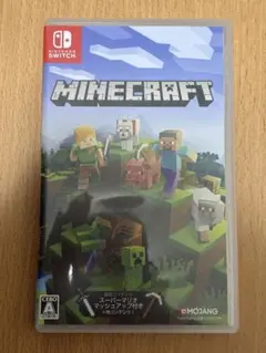 Minecraft Nintendo Switch