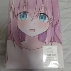 SDVX レイシス ロングクッションカバー 抱き枕カバー - メルカリ