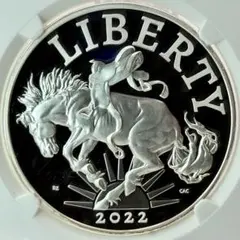 2025年最新】ウルトラカメオの人気アイテム - メルカリ