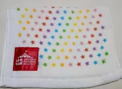水曜どうでしょう DODESYOCARAVAN 2015 スターガーゼタオル