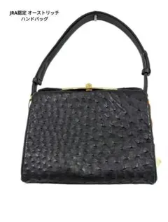 JRA認定 オーストリッチ ハンドバッグ ボックスバック ショルダーバック