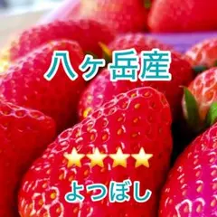 八ヶ岳産 高級いちご 1パック　味が濃くジューシー、3月まで農薬不使用