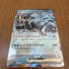 ブラックキュレムEX 230HP RRレアリティ