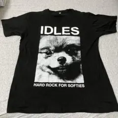 新品 IDLES アイドルズ Tシャツ M フジロック サマソニ - メルカリ