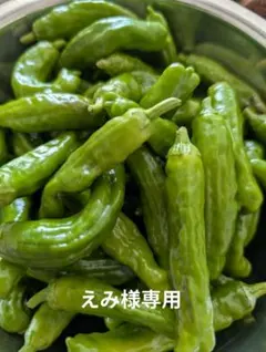 えみ様専用　無農薬ししとう 常温便