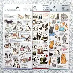 ⑦カミオジャパン♡大人の図鑑シール♡3枚